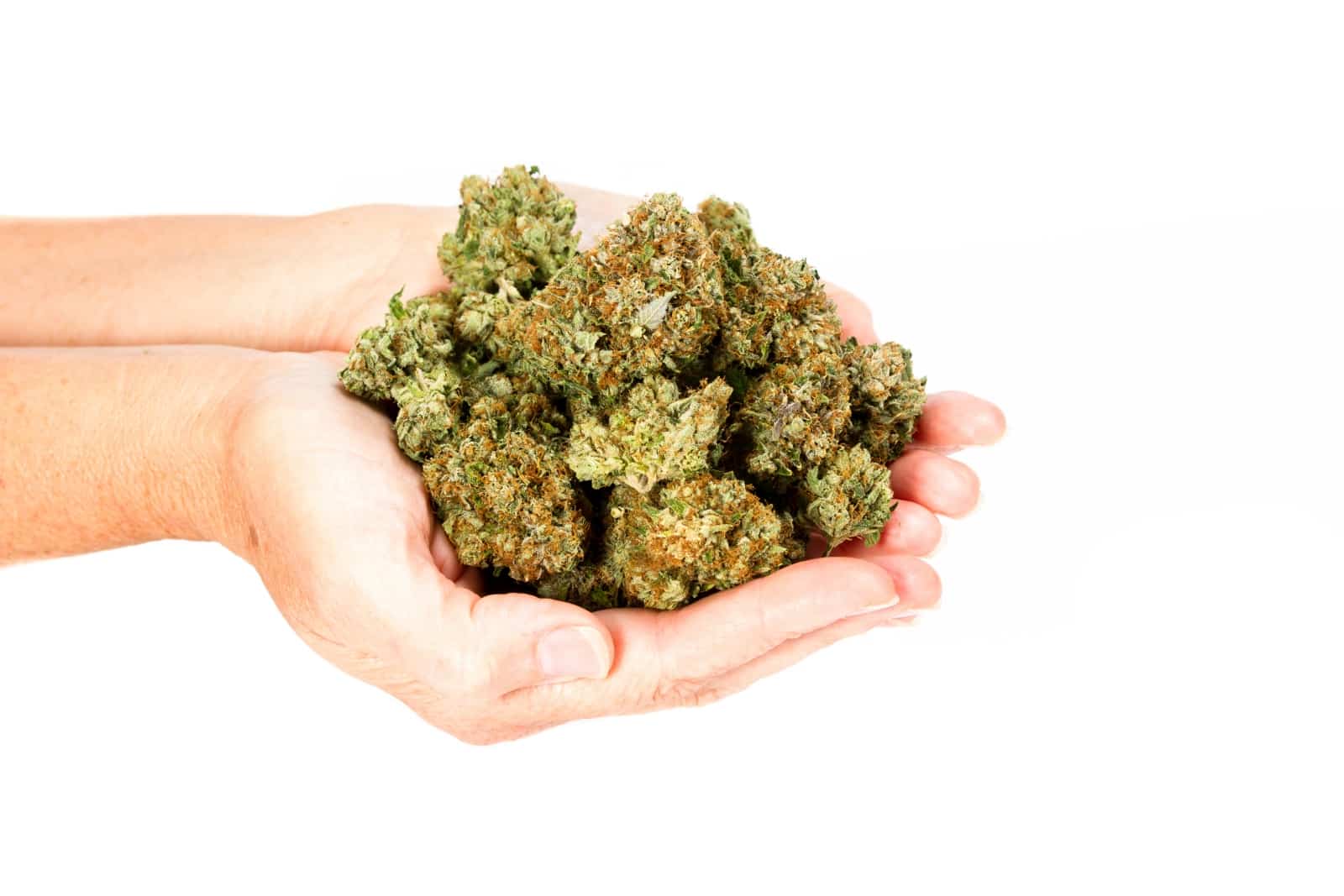 CBD sans THC